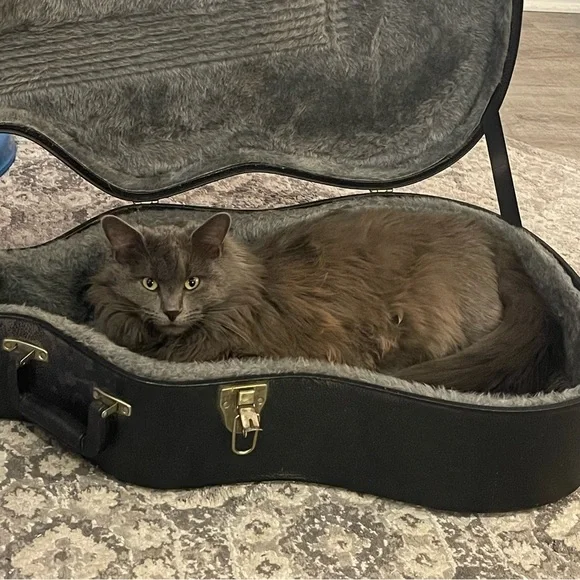 ‼️LIVE SHOW NOTIFICATION POST!‼️ - Picture 3 of 5